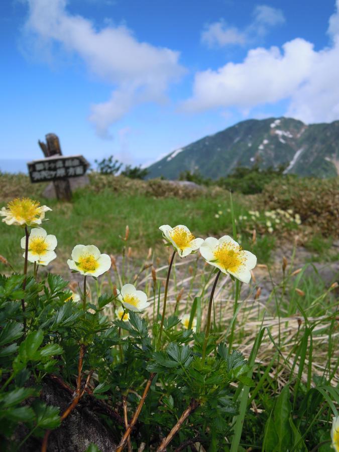 Tateyama Kogen Hotel Toyama Exterior foto